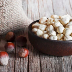 York Filbert Hazelnut 12 York Filbert Hazelnut -Plant Seed Store York Hazelnut 5